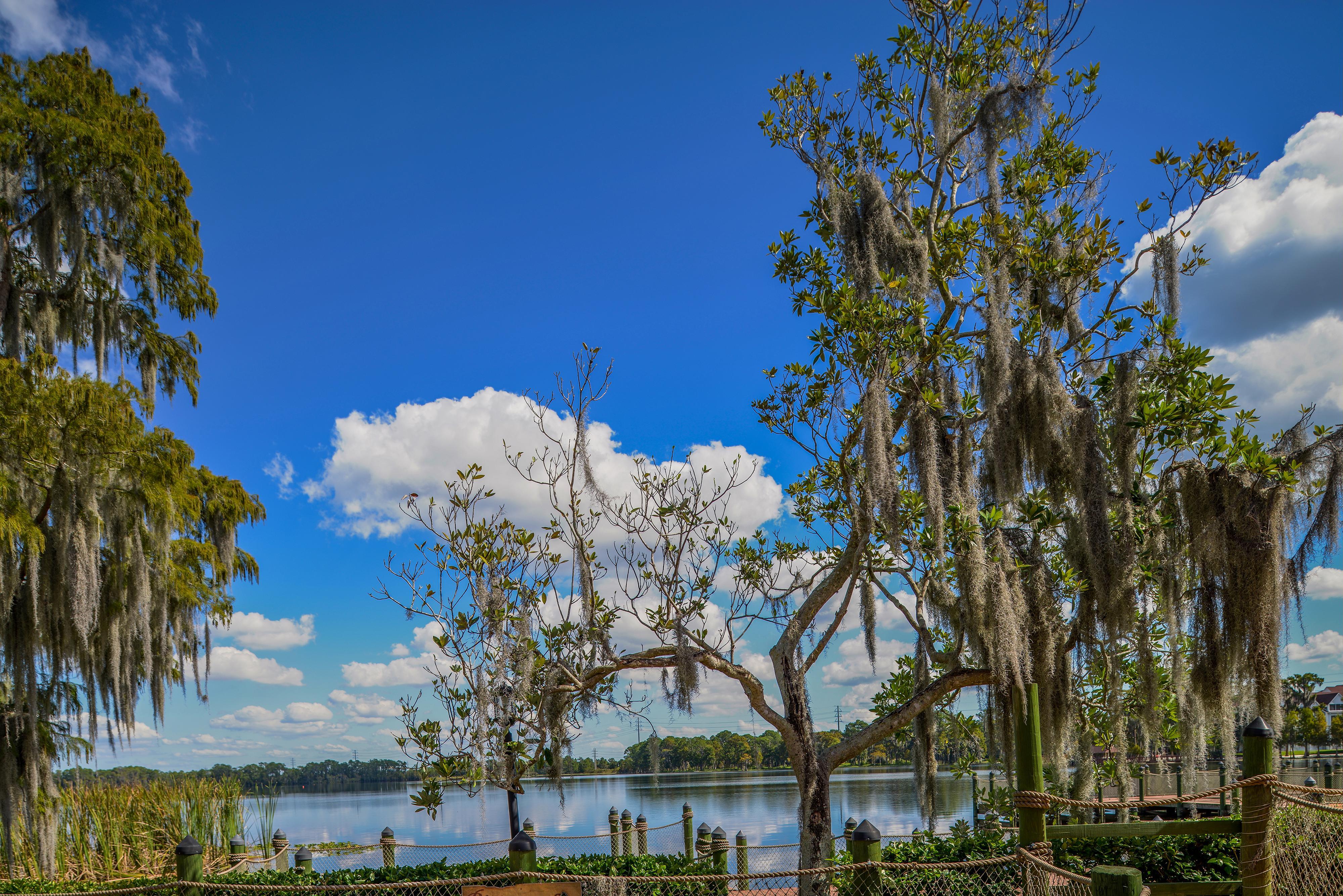 Bryan'S Spanish Cove Lake Buena Vista Kültér fotó